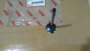 Klep Valve Intake IN Minyak Daihatsu Gran Max 13711-BZ061