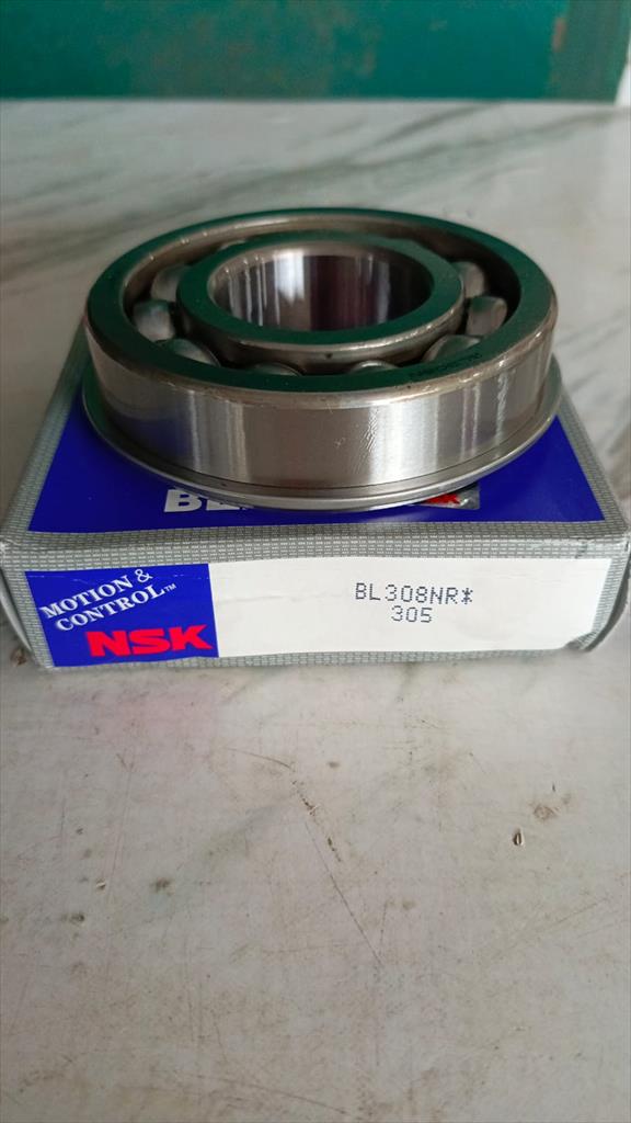 Bearing Laher Persneleng PS125